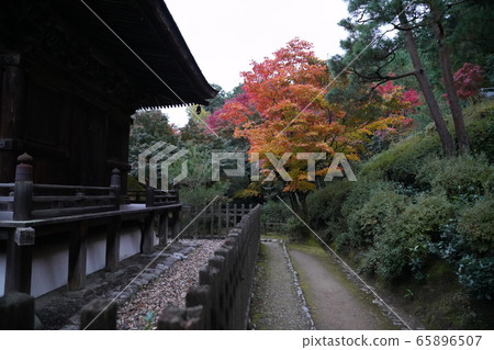 京都昭和寺秋葉之靜美 65896507