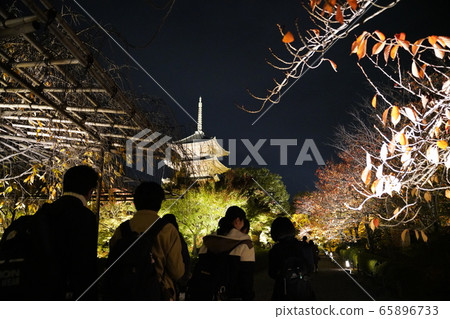 京都東寺彩葉照亮 京都東寺彩葉照亮 65896733
