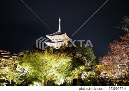 京都東寺彩葉照亮 京都東寺彩葉照亮 65896734