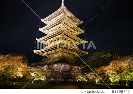 Toji Kyoto colored leaves light up Toji Kyoto colored leaves light up 65896743