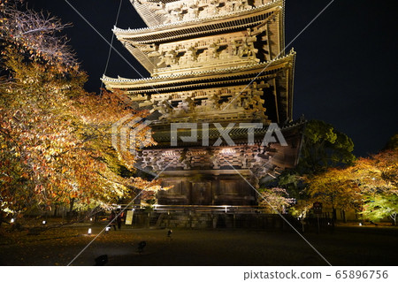 Toji Kyoto colored leaves light up Toji Kyoto colored leaves light up 65896756