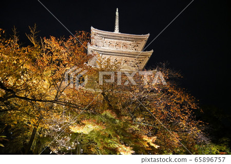 Toji Kyoto colored leaves light up Toji Kyoto colored leaves light up 65896757