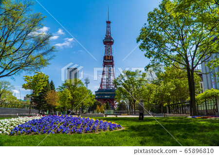 Sapporo TV Tower Urban Landscape Olympic Marathon Sapporo TV Tower Urban Landscape Olympic Marathon 65896810