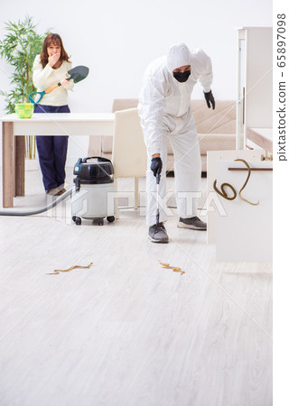 Young male contractor exterminating snakes in the flat Young male contractor exterminating snakes in the flat 65897098
