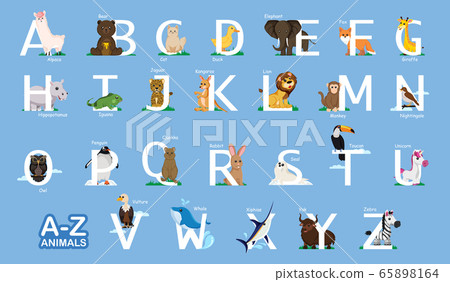 Instructional media A-Z Animal, Letter from A to Z - Stock Illustration  [65898164] - PIXTA