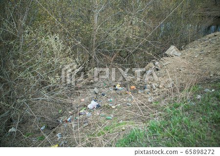a pile of garbage in the woods. garbage collapse. Environmental pollution. environmental disaster of plastic recycling 65898272