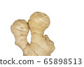 Young fresh ginger root on white background. Spicy crops root used in treatment. Isolated ginger root is used to increase immunity, to lose weight. Protects against colds and viruses. Empty space 65898513