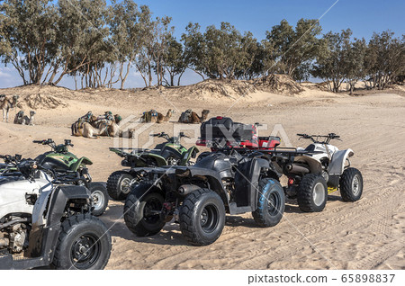 Change of generations of transport for traveling 65898837