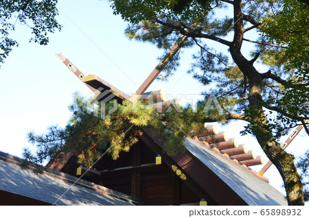 Atsuta Jingu Shrine / Main Hall的屋頂(熱田區名古屋市熱田區) Atsuta Jingu Shrine / Main Hall的屋頂(熱田區名古屋市熱田區) 65898932