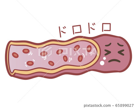 Blood vessel 65899027