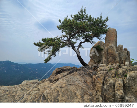 Nature, landscape Nature, landscape 65899247