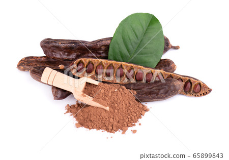 Ripe carob pods and bean isolated on white Ripe carob pods and bean isolated on white 65899843
