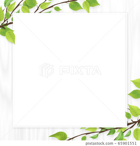 Fresh green leaves white frame white wood Fresh green leaves white frame white wood 65901551