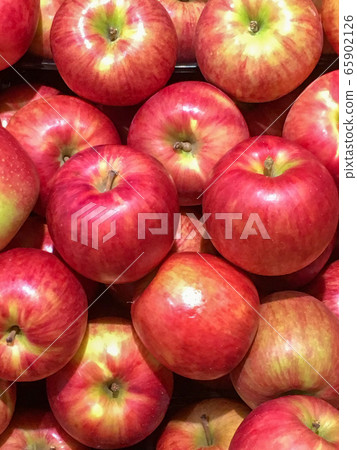 Red apple from Aomori prefecture Red apple from Aomori prefecture 65902126