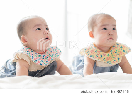 Baby twin newborn 65902146