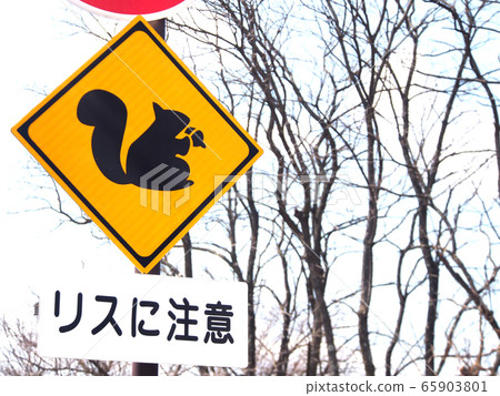 “小心松鼠”標誌（長野縣） 65903801