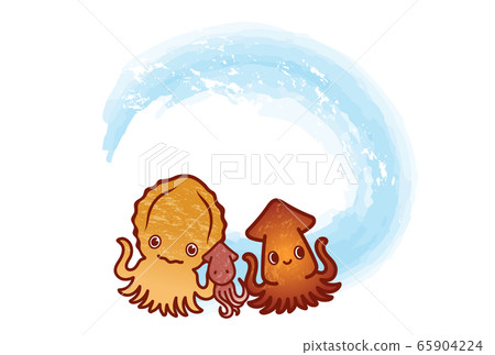 squid  65904224