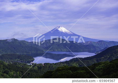 (Kanagawa Prefecture) Mt. Fuji with snow covered from the fresh green Hakone Daikanzan 65904567