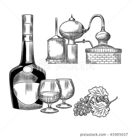 Set of cognac in hand drawn style on white Set of cognac in hand drawn style on white 65905037