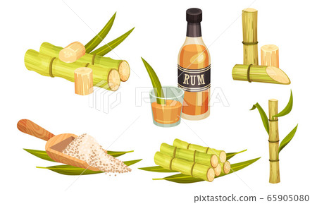 Sugar Cane Unbranched Stems with Leaves and Superfood like Brown Granulated Sugar Vector Set 65905080