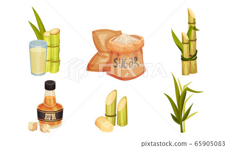 Sugar Cane Unbranched Stems with Leaves and Superfood like Brown Granulated Sugar Vector Set Sugar Cane Unbranched Stems with Leaves and Superfood like Brown Granulated Sugar Vector Set 65905083