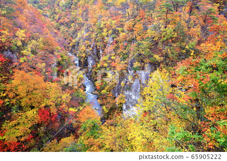 宮城縣鳴子溫泉村紅葉 宮城縣鳴子溫泉村紅葉 65905222