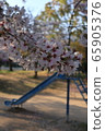 Sakura and slide 65905376