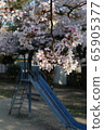 Sakura and slide 65905377