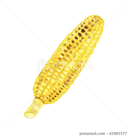 Grilled corn at the festival fair stalls Food watercolor illustration 65905577