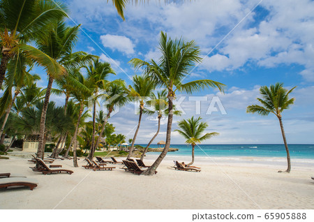Palm and tropical beach in Tropical Paradise. Summertime holiday in Dominican Republic, Seychelles, Caribbean, Philippines, Bahamas. Relaxing on remote Paradise beach. Luxury Resort on Atlantic ocean. Palm and tropical beach in Tropical Paradise. Summertime holiday in Dominican Republic, Seychelles, Caribbean, Philippines, Bahamas. Relaxing on remote Paradise beach. Luxury Resort on Atlantic ocean. 65905888