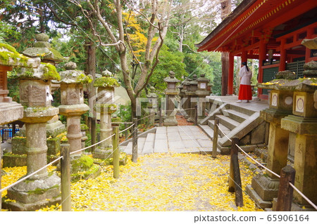 神社 神社 65906164