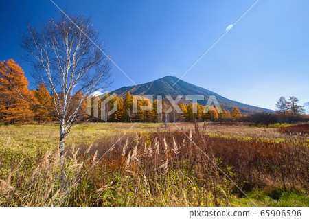 Senjogahara in autumn 65906596