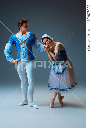 Young and graceful ballet dancers as Cinderella fairytail characters. Young and graceful ballet dancers as Cinderella fairytail characters. 65907022
