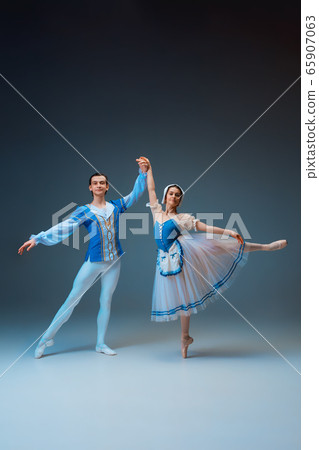 Young and graceful ballet dancers as Cinderella fairytail characters. Young and graceful ballet dancers as Cinderella fairytail characters. 65907063