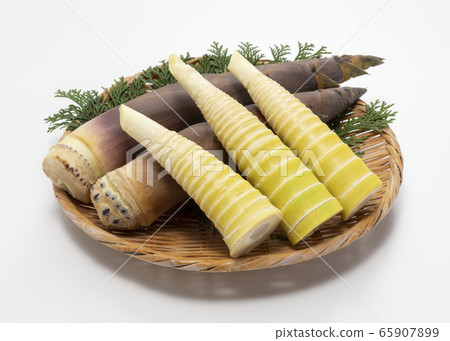Light bamboo Light bamboo 65907899