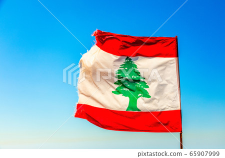 Lebanese red and white with green cedar tree flag Lebanese red and white with green cedar tree flag 65907999