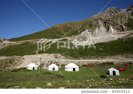 Mongolian gel in the grasslands of Xinjiang. 2019/8/30 Mongolian gel in the grasslands of Xinjiang. 2019/8/30 65910312