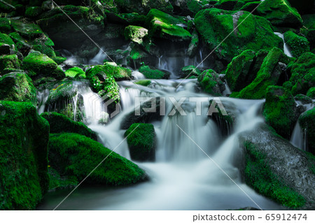 Mossy valley water stream 65912474