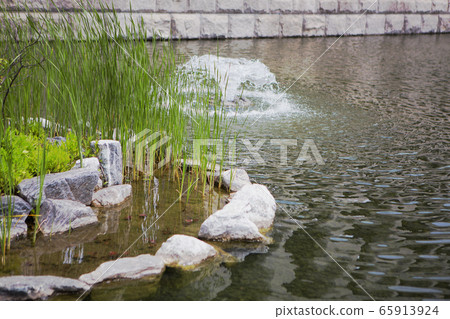 Pond with fountain Pond with fountain 65913924