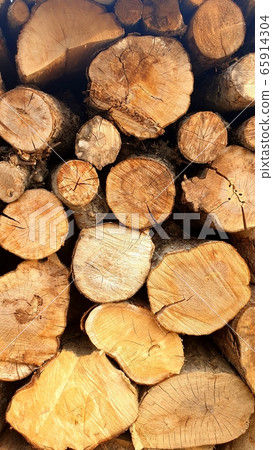 Firewood tree concentric circle rings seen at 182 Cherry Blossom Road, Budget in the afternoon of March 65914304