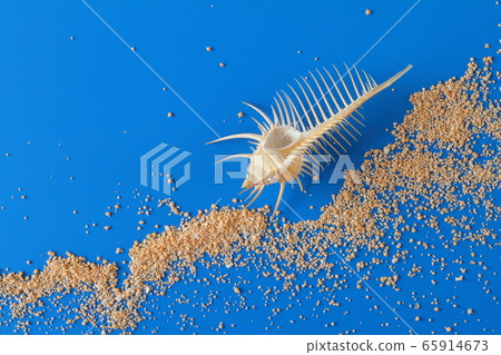 Seashell, sand 202005177d6 65914673