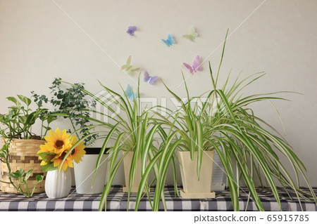 Room with green Room with green 65915785