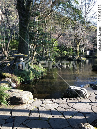 岐阜川 岐阜川 65916131