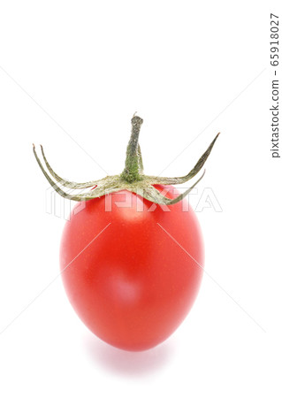  Mini Tomato 65918027