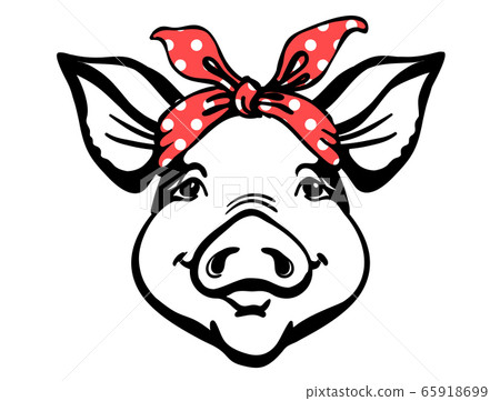 Pig head with red bandana. Farm animal. Vector Pig head with red bandana. Farm animal. Vector 65918699