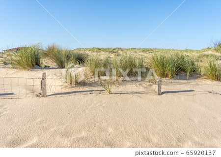 Background summer sky. Top view. Natural background. Scenic travel background. Blue background. Sunset light. Background summer sky. Top view. Natural background. Scenic travel background. Blue background. Sunset light. 65920137