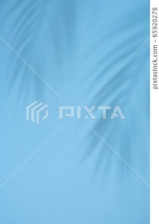 Abstract background of shadows palm leaves on a Abstract background of shadows palm leaves on a 65920278