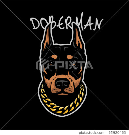 Doberman Head With A Chain On His Neck On A Stock Illustration 65920463 Pixta