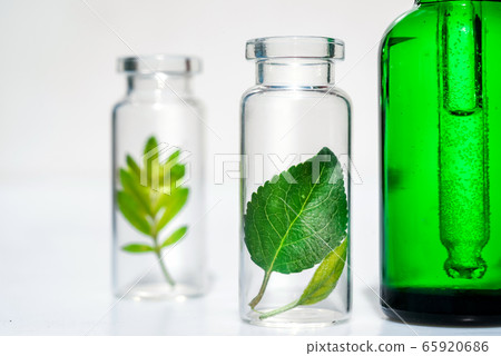Homeopathic Vegetable Oils. Concept of Organic, Bio Cosmetics and Food Additives 65920686