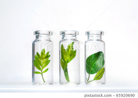 Bottles with herbs, natural essential oil, organic cosmetics on white background 65920690